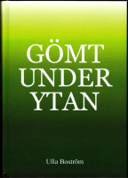 Gömt under ytan